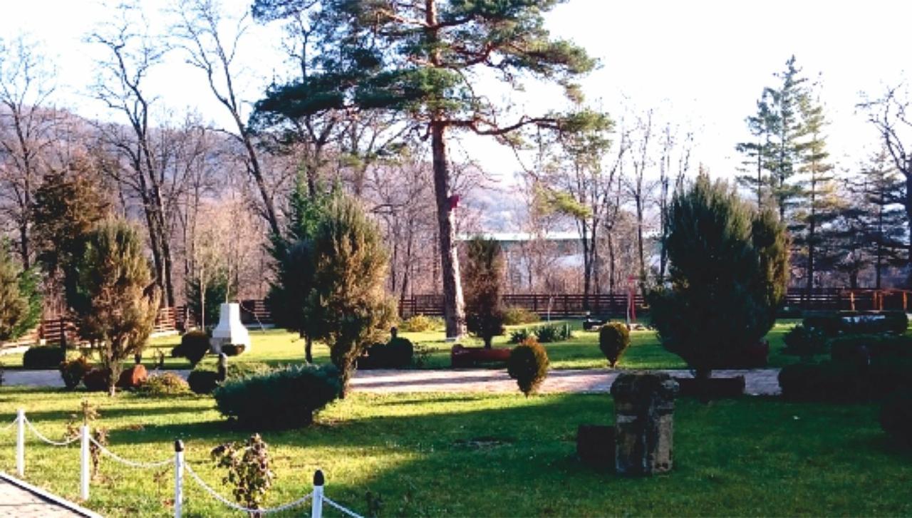 Hotel Spa Cazino Monteoru Sărata-Monteoru Zewnętrze zdjęcie